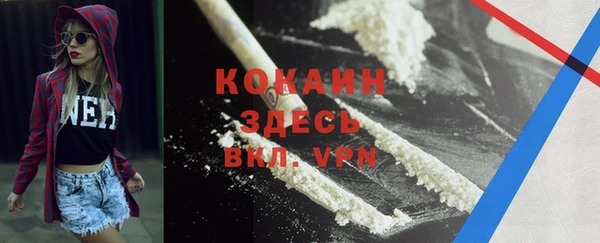 ПСИЛОЦИБИНОВЫЕ ГРИБЫ Елабуга