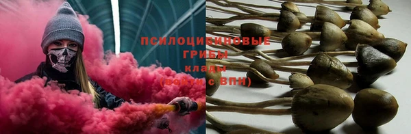 не бодяженный Ельня