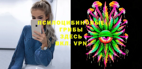 не бодяженный Ельня