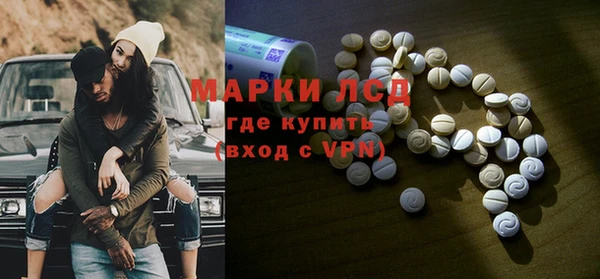 ПСИЛОЦИБИНОВЫЕ ГРИБЫ Елабуга