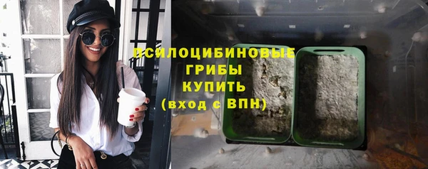 не бодяженный Ельня