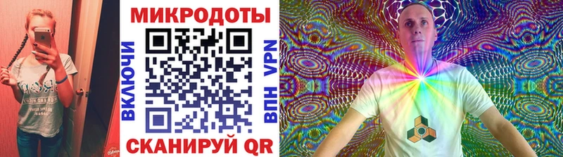 Купить  Буй  Галлюциногенные грибы Psilocybine cubensis 